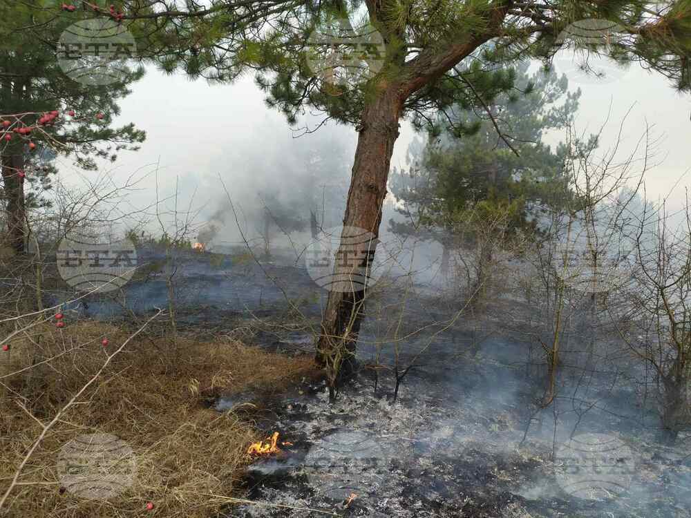 Bulgarian Firefighters Arrive in Greece to Help Fight Forest Fires