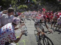 Cycling Tour de France