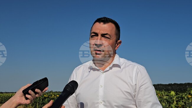 Жътвата на пшеницата в България е приключила на 80 процента, каза заместник-министърът на земеделието и храните Янислав Янчев край Балчик