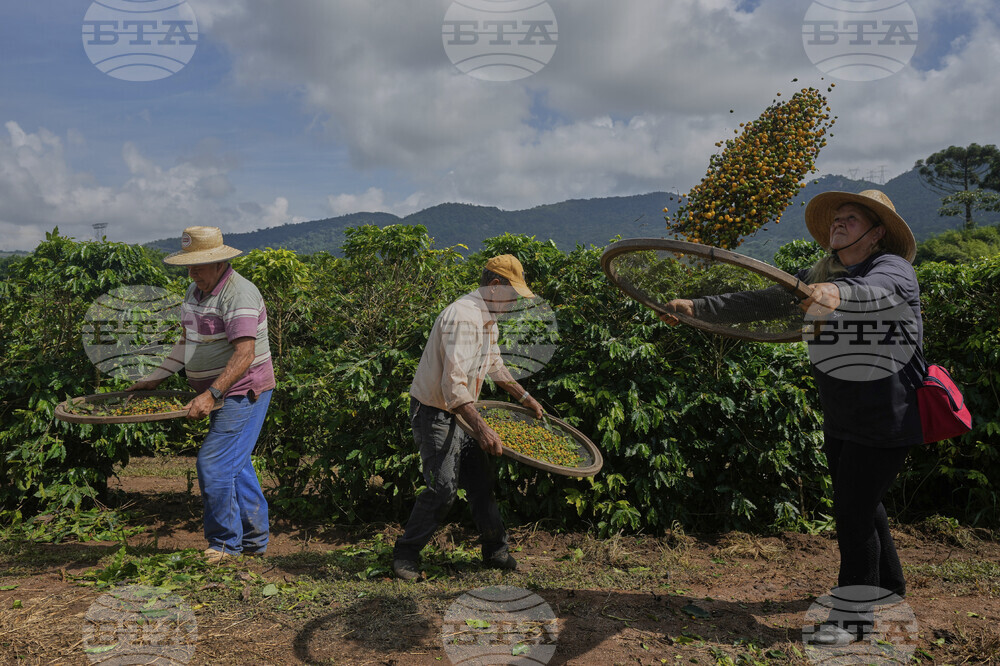 Brazil Coffee