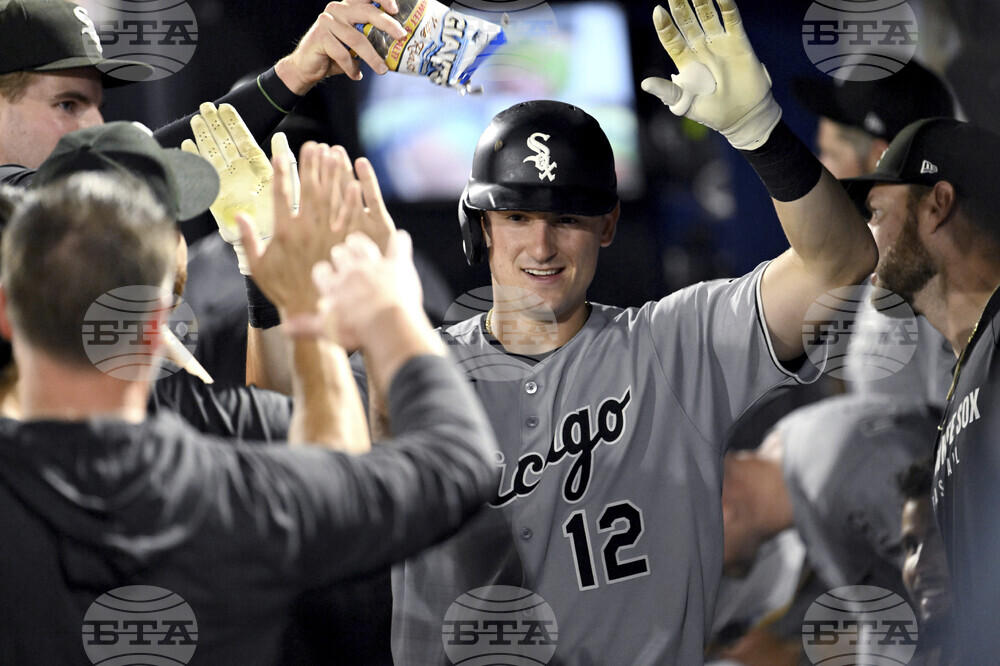 White Sox Rays Baseball
