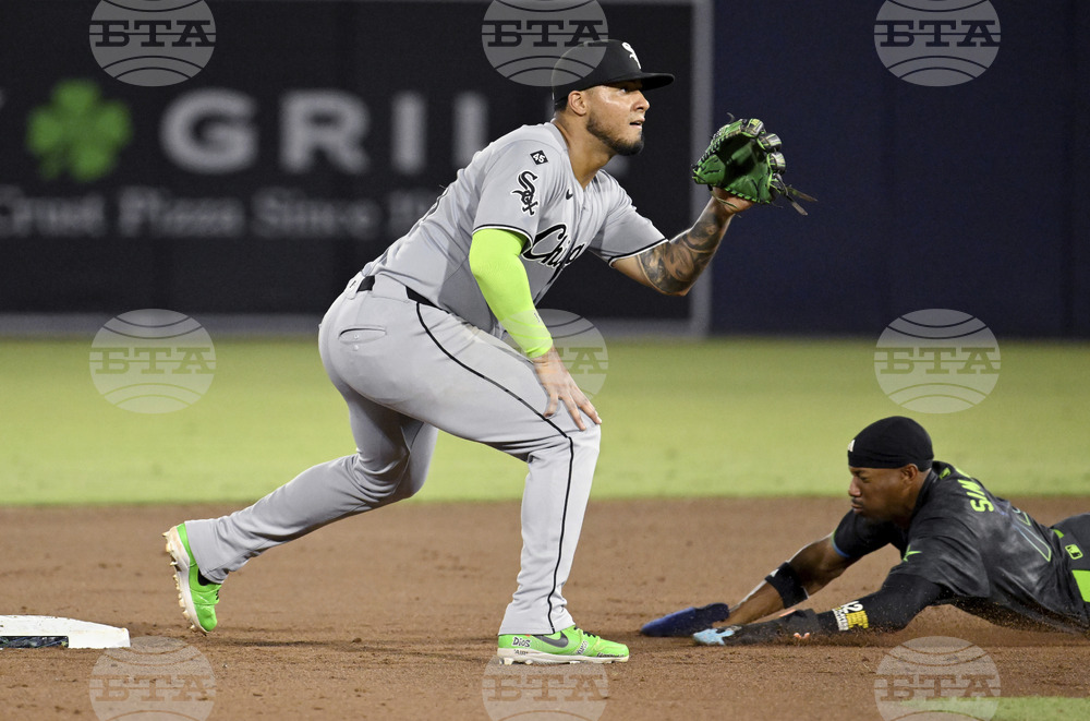 White Sox Rays Baseball