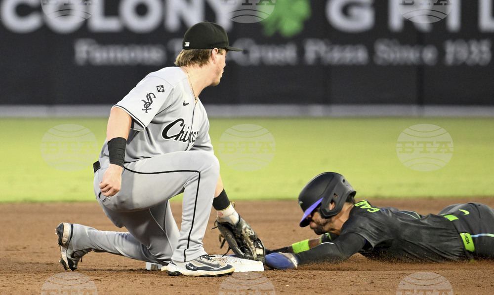 White Sox Rays Baseball