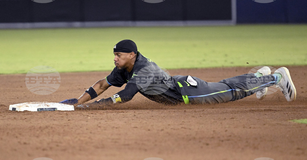 White Sox Rays Baseball