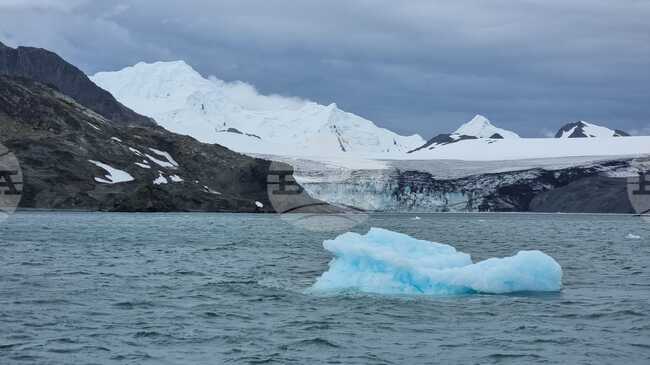 Антарктически микроби оцеляват при екстремни температурни амплитуди, установиха учени