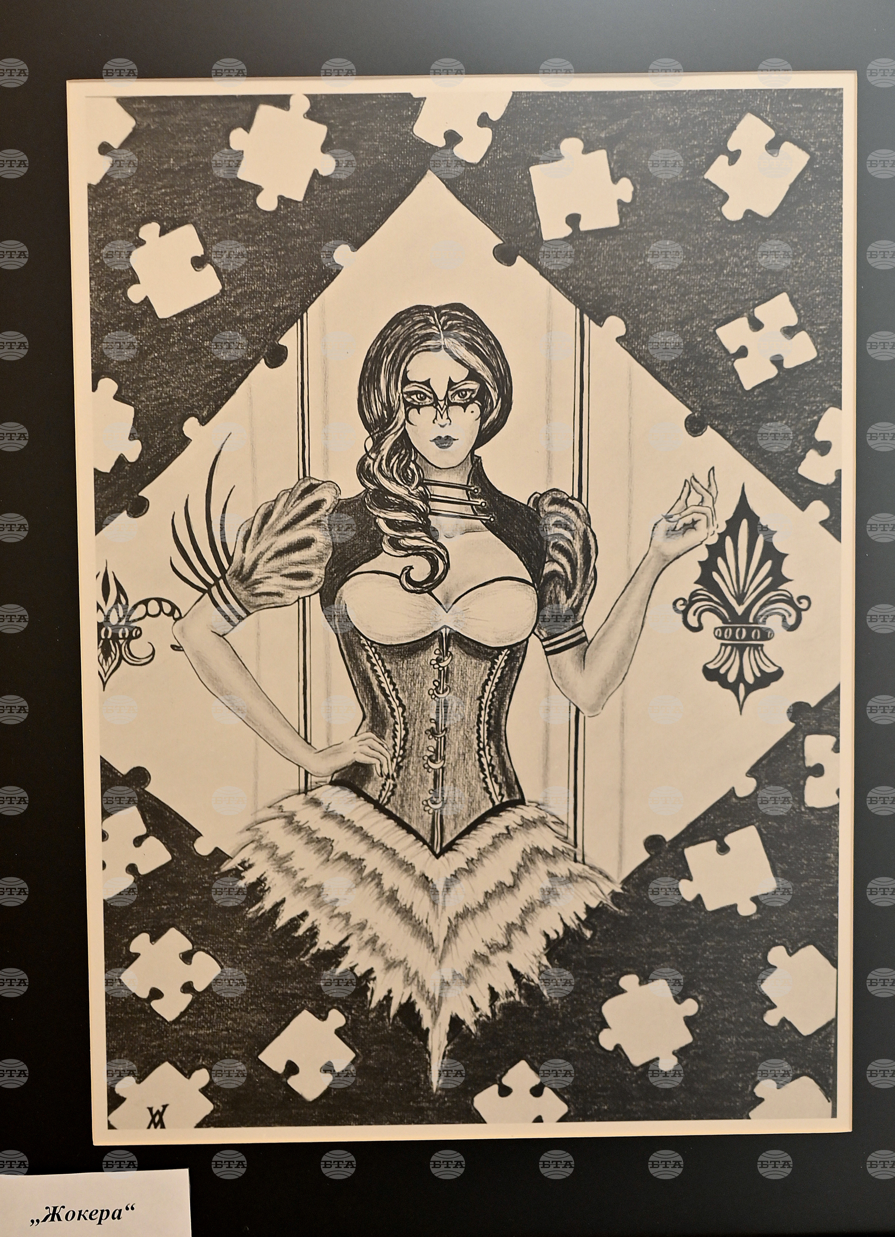 Вършец - Виктория Алексиева - изложба