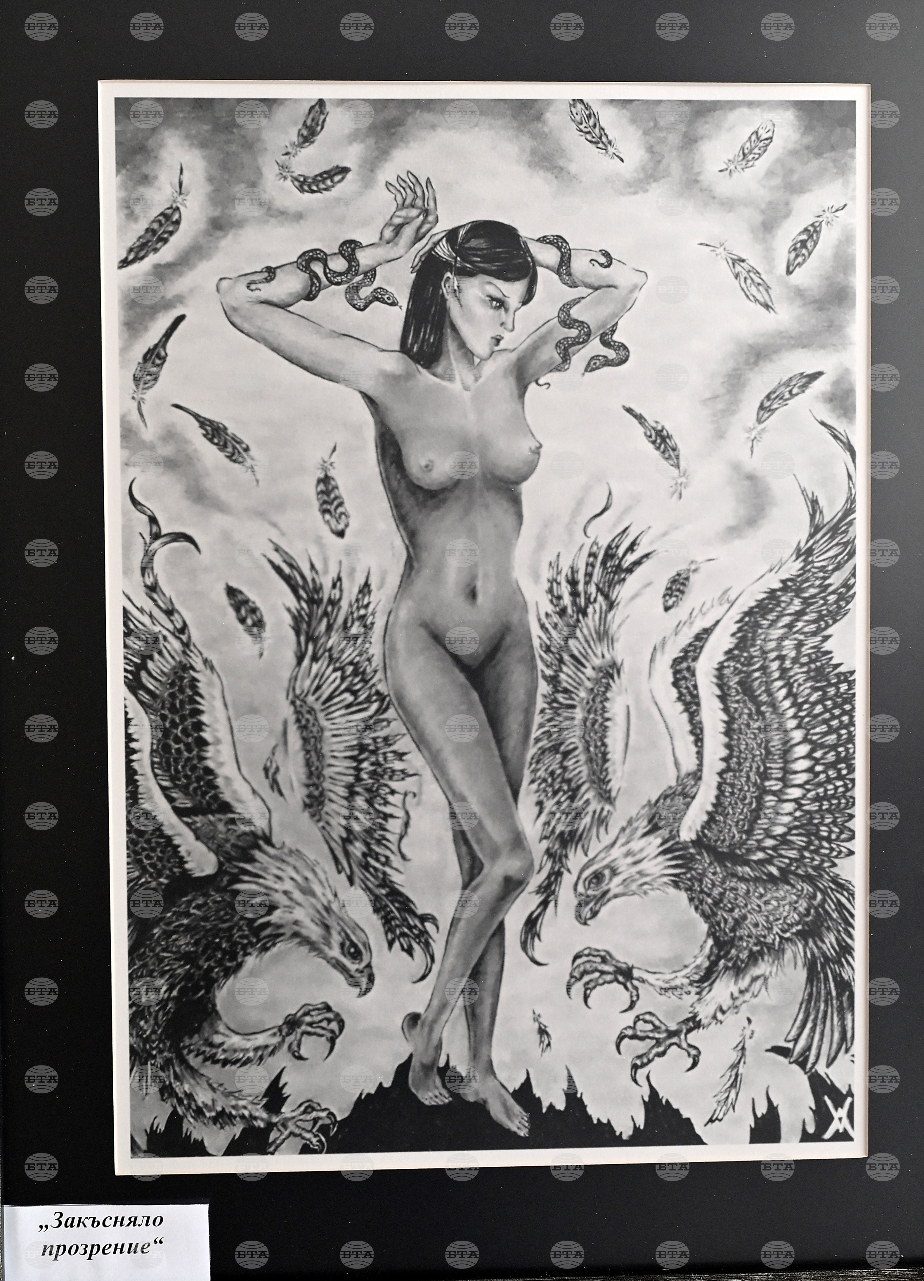 Вършец - Виктория Алексиева - изложба