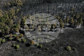 Община Костинброд - село Безден и село Богьовци - пожар - последици