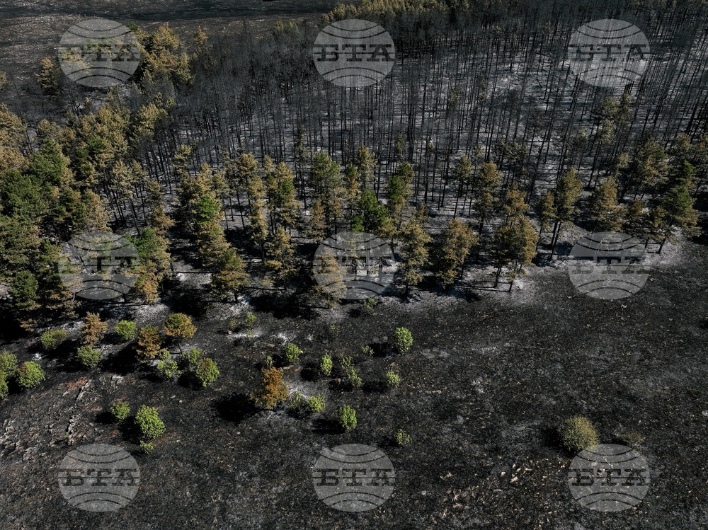 Община Костинброд - село Безден и село Богьовци - пожар - последици