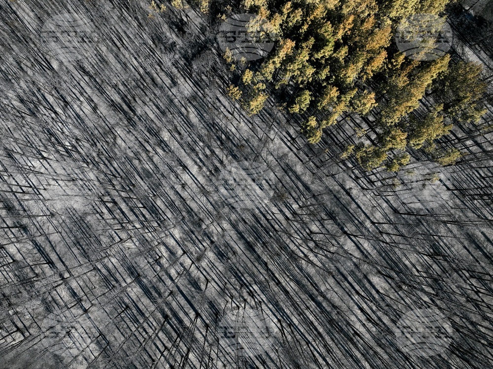 Община Костинброд - село Безден и село Богьовци - пожар - последици
