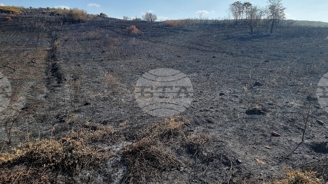 Пет пожара в сухи треви и храсти са гасили вчера огнеборците в Монтанско