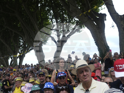 Cycling Tour de France