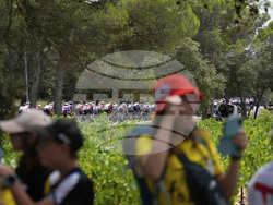 Cycling Tour de France