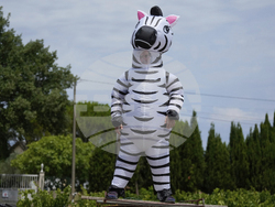 Cycling Tour de France