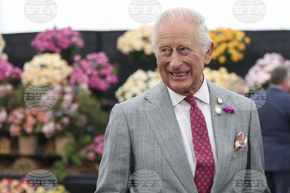 Britain Royals