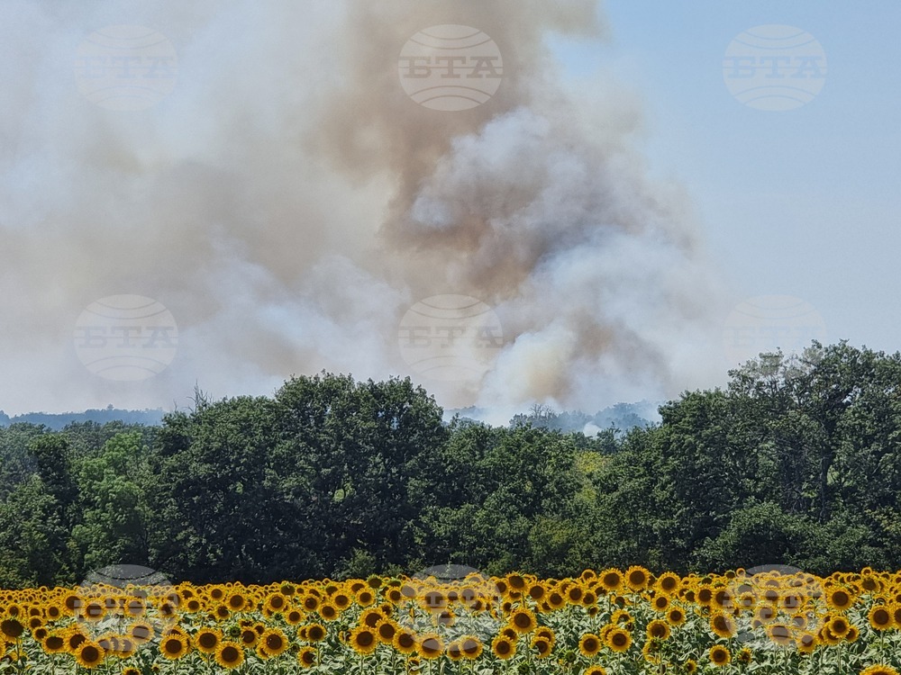 Село Камен връх - община Болярово - пожар