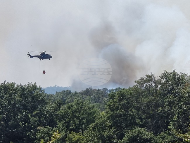 Продължават усилията за овладяване на пожара в труднодостъпна местност между селата Камен връх и Стефан Караджово в Ямболско
