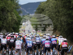 Cycling Tour de France