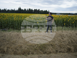 Cycling Tour de France