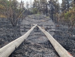 Асеновград - пожар