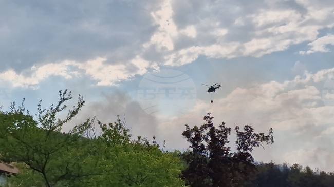 Три са активните пожари на територията на Албания, съобщи албанският министър на отбраната 