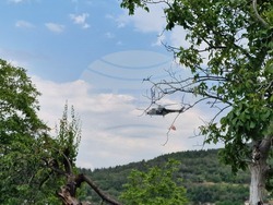 Асеновград - пожар