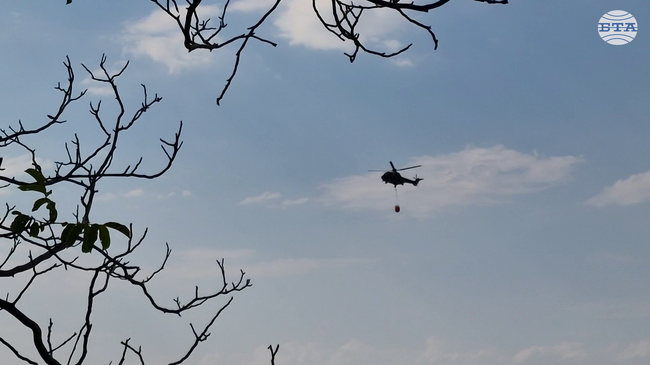 Овладян е пожарът в района на асеновградските квартали "Горни Воден" и "Долни Воден"