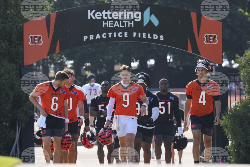 Bengals Camp Football