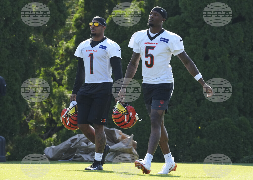 Bengals Camp Football