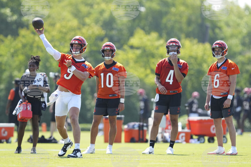 Bengals Camp Football