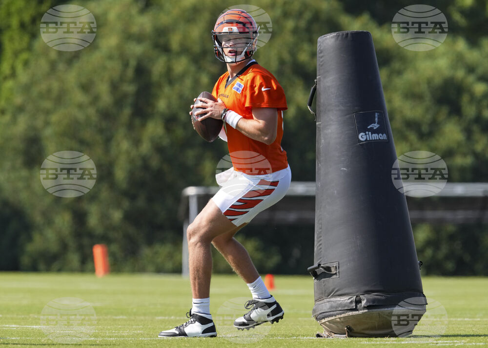 Bengals Camp Football