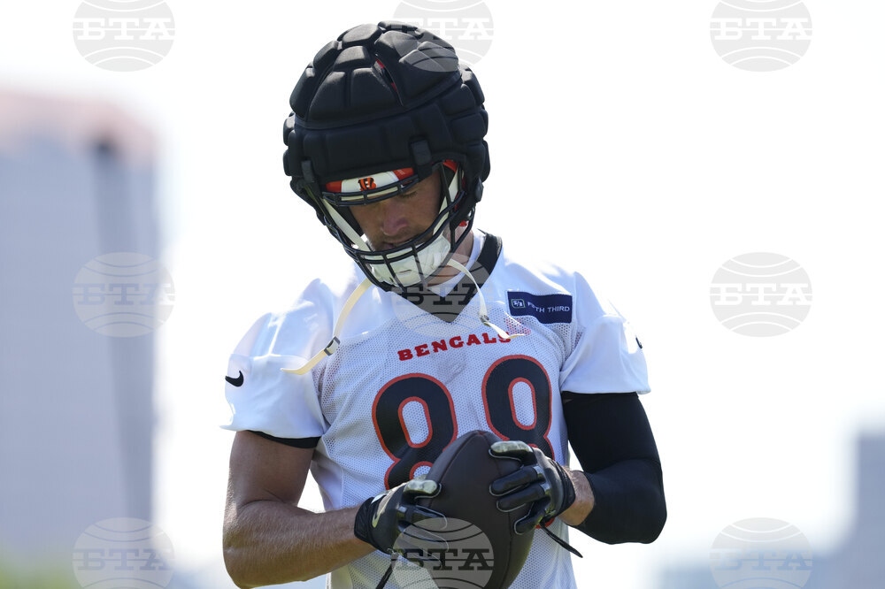 Bengals Camp Football
