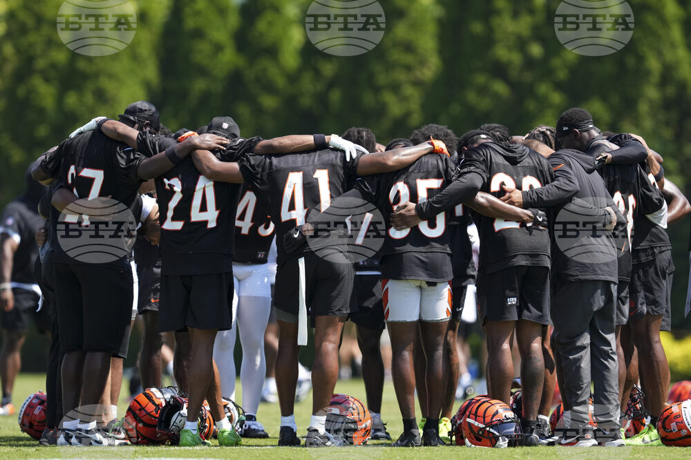 Bengals Camp Football
