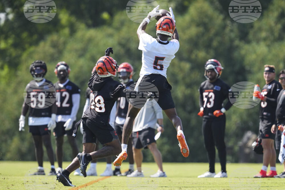 Bengals Camp Football