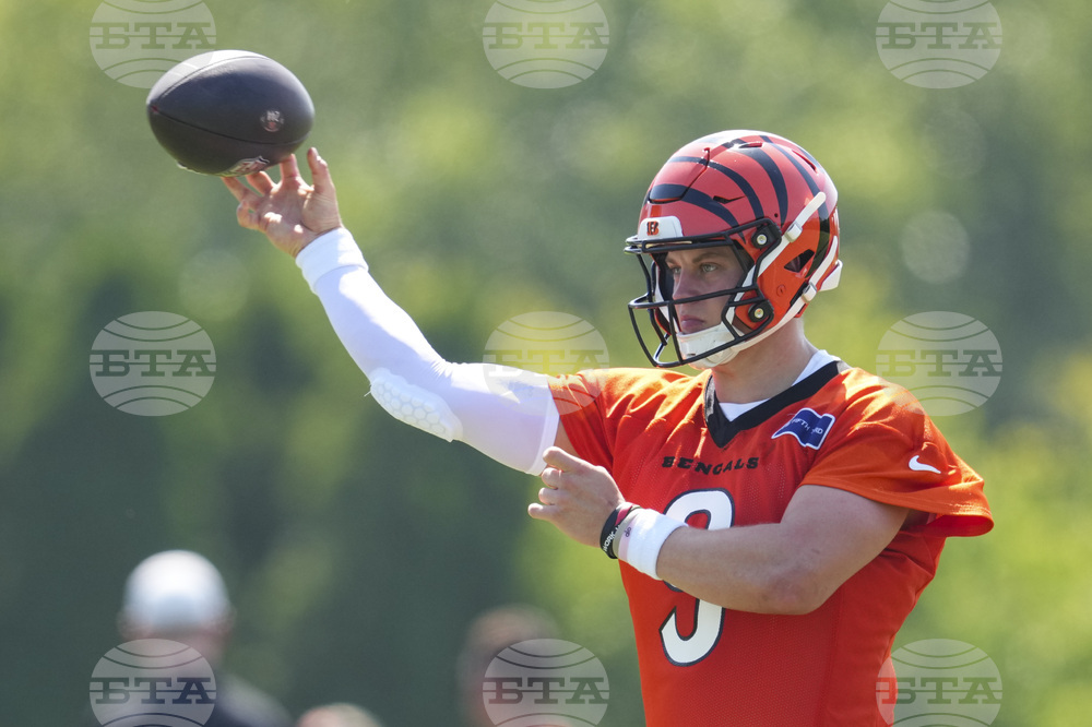 Bengals Camp Football