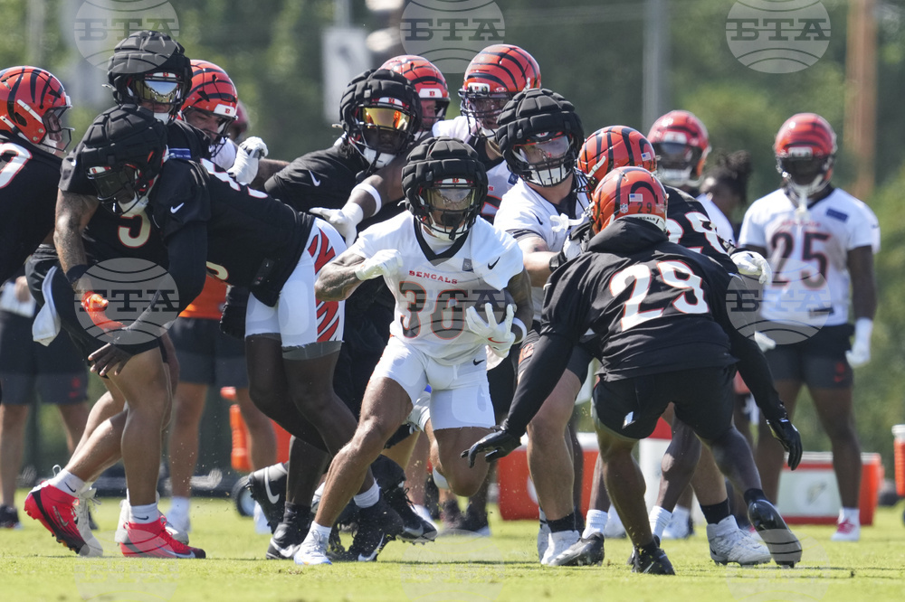 Bengals Camp Football