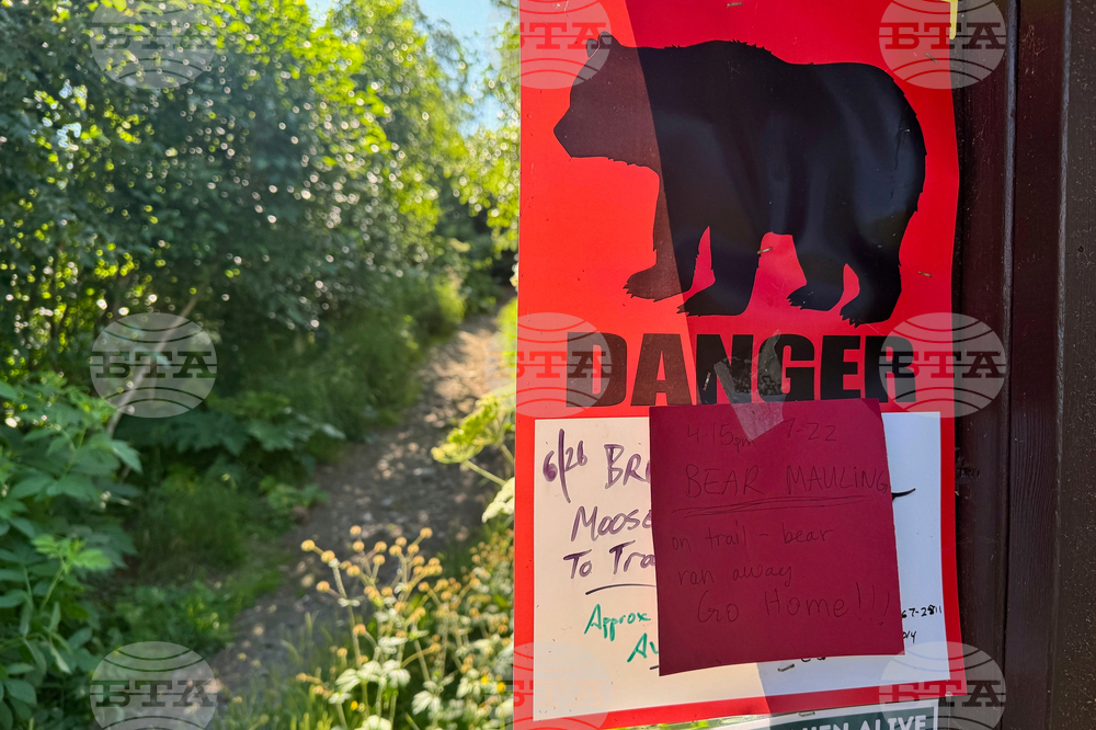 Bear Mauling Alaska