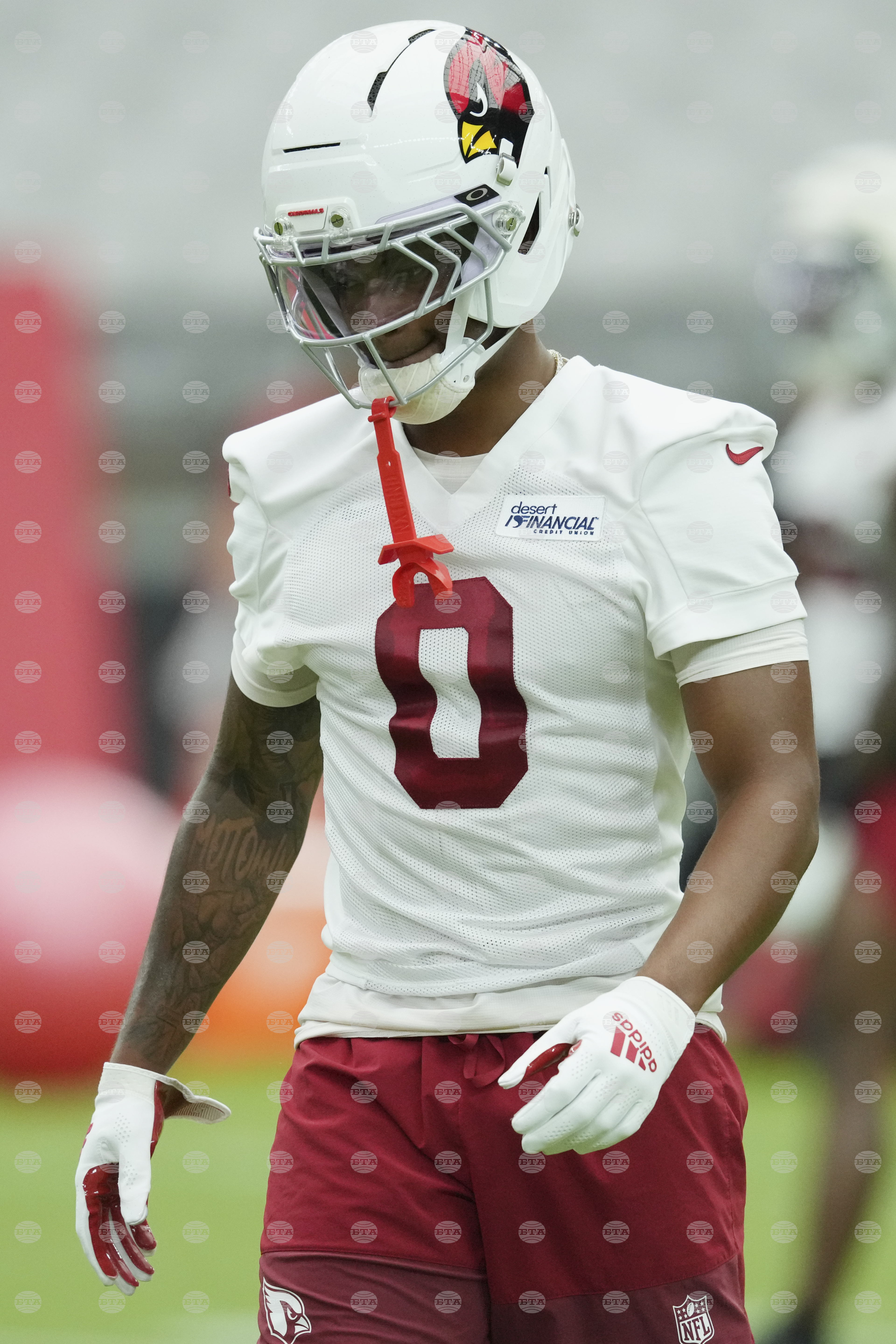 Cardinals Camp Football