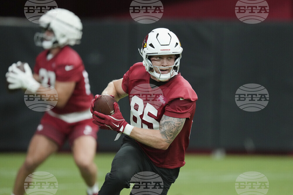 Cardinals Camp Football