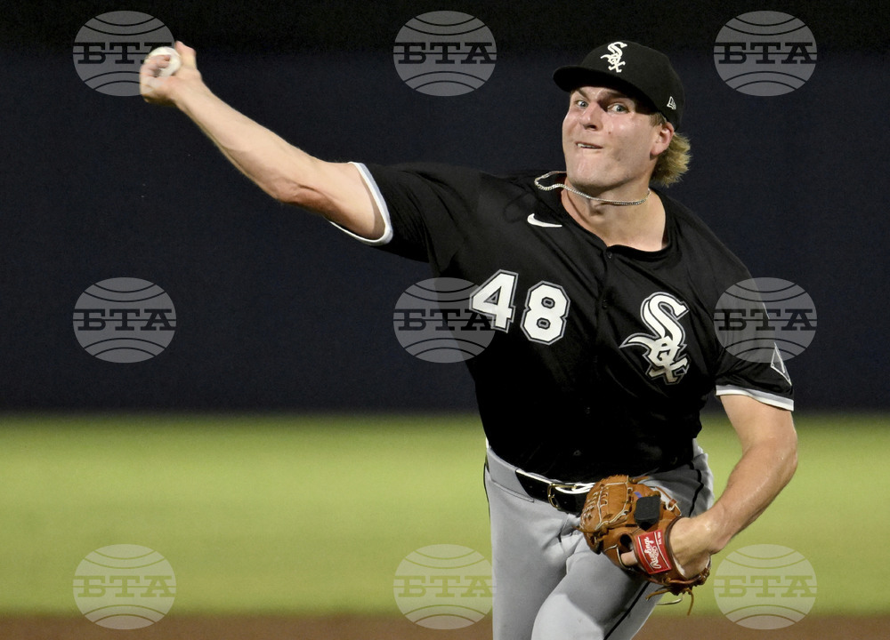 White Sox Rays Baseball