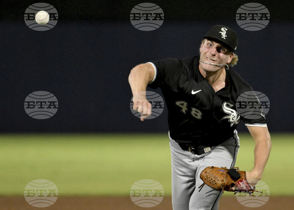 White Sox Rays Baseball