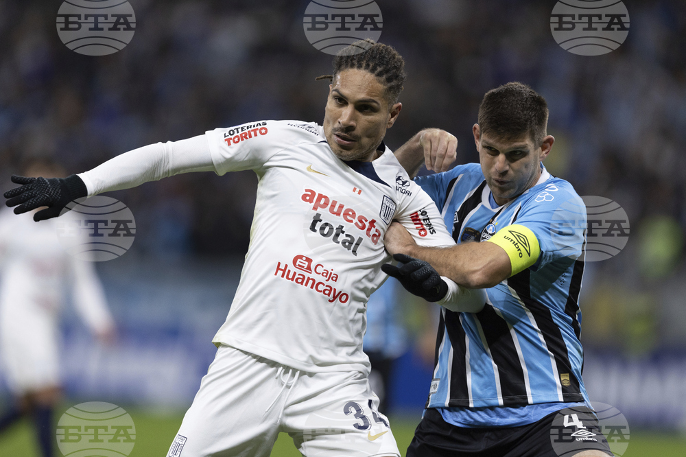 Brazil Peru Soccer Copa Sudamericana
