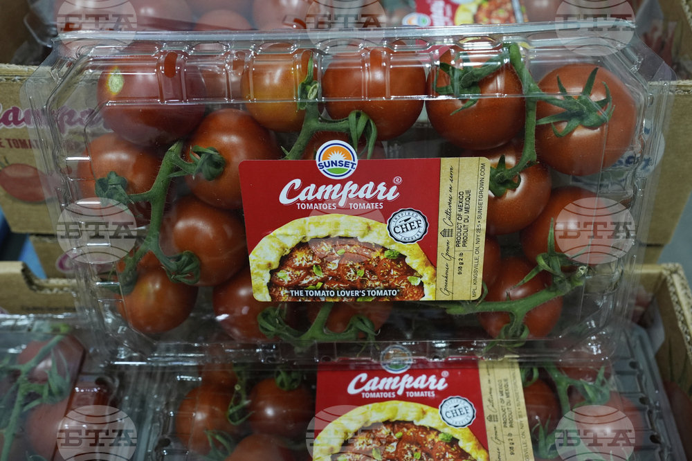 Mexico Tomatoes