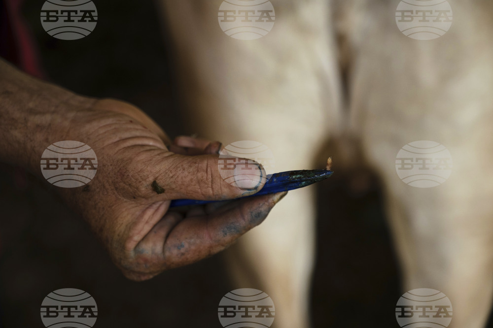Mexico US Screwworm