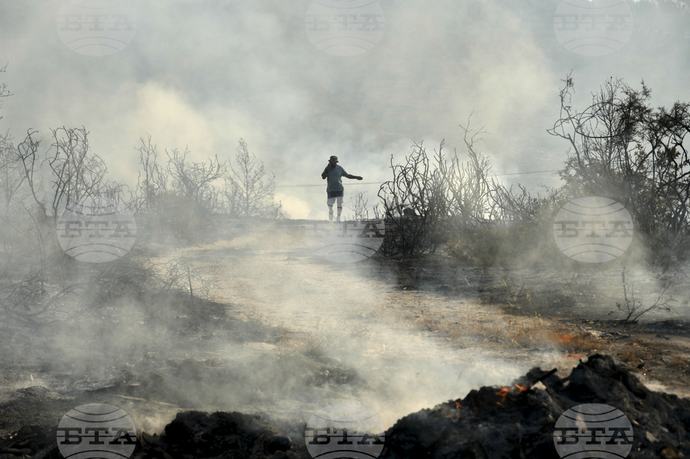 Cyprus Wildfire