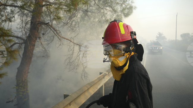 Кипър кани американски експерти за оценка на борбата срещу пожарите в Кипър