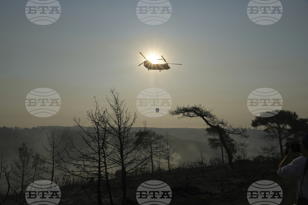 Cyprus Wildfire