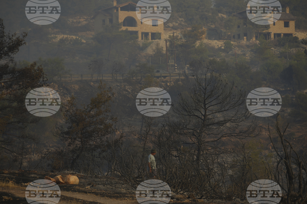 Cyprus Wildfire