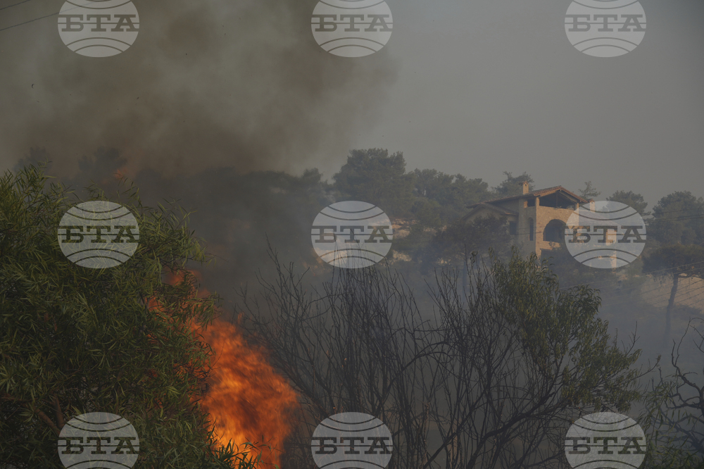Cyprus Wildfire