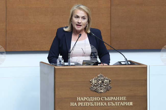 От „Величие“ попитаха в декларация, защо не се разследват твърденията, че пожарът в Костинбродско е тръгнал от няколко места едновременно 